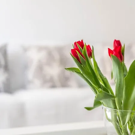 Apartamento Delimar 2 Appartamento *